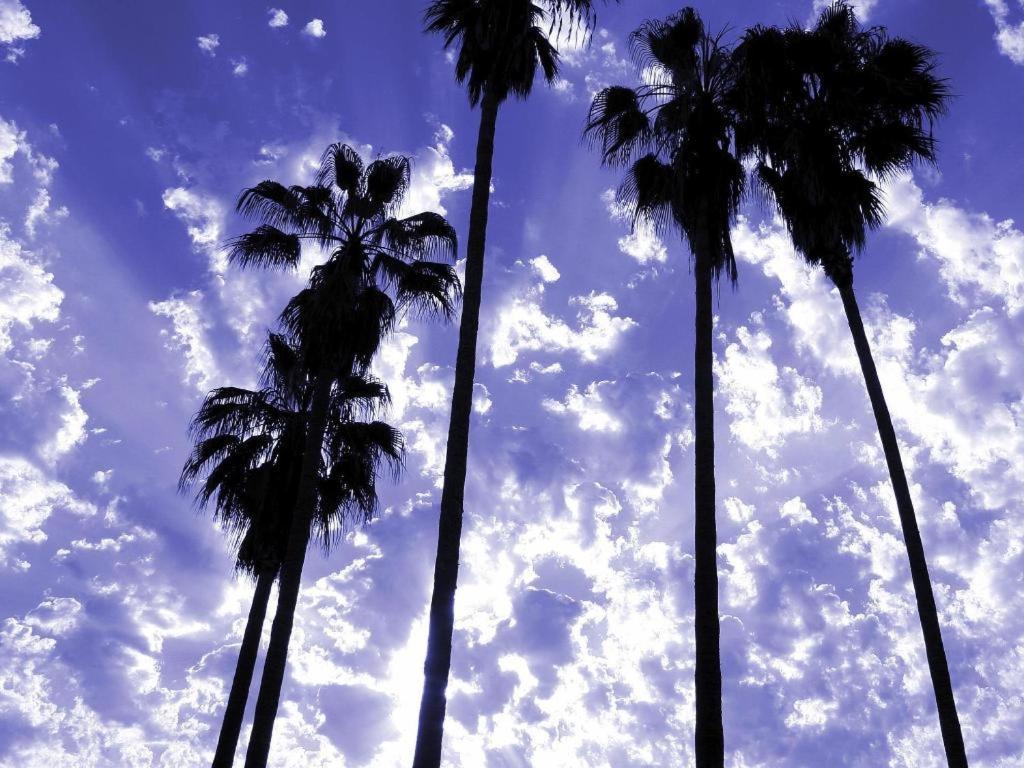 Parker Palm Springs Hotel Exterior foto